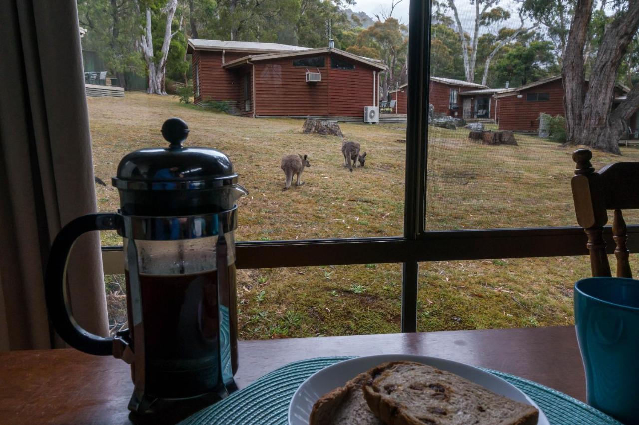 Wonderland Cottages Halls Gap Exterior foto